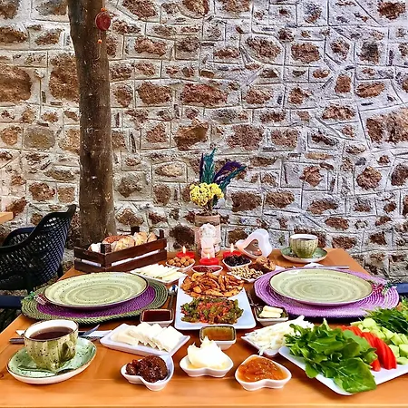 Cedrus Antalya